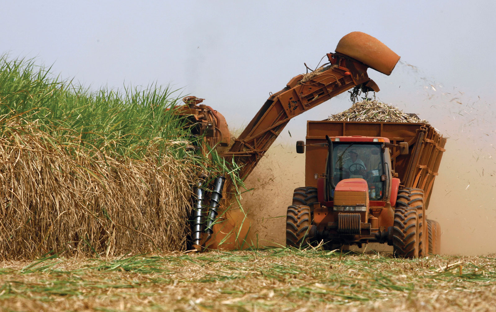 Canal Rural: Safra 21/22 de cana-de-açúcar deve fechar com 525 milhões de toneladas, estima Unica | ABTTC